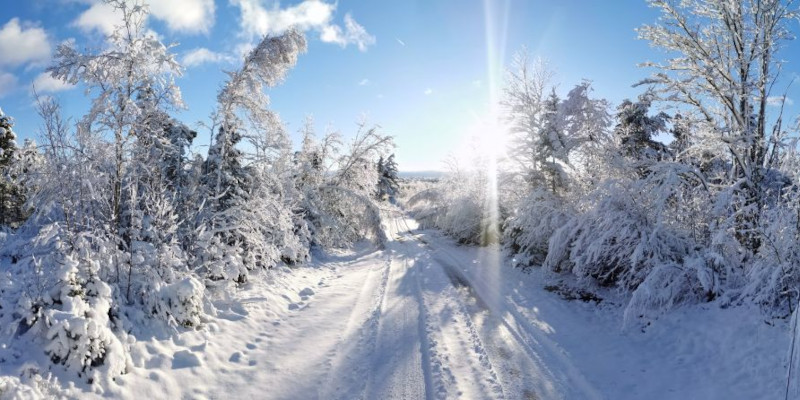 slideshow image